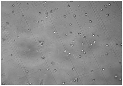 Application of Stevioside in Promoting the Growth of Chlorella