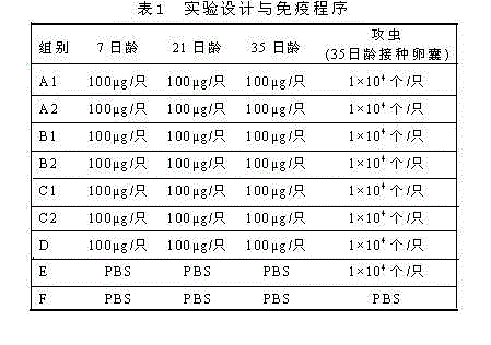 Usage of yeast in preparation of anticoccidial drugs