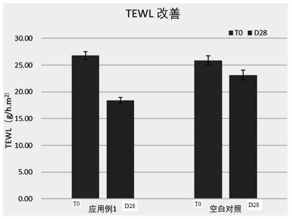 Soothing anti-allergy nano-vesicle composition and application thereof