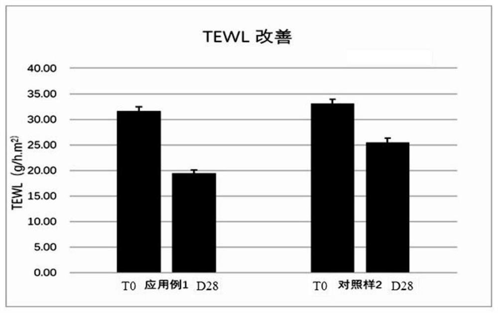 Soothing anti-allergy nano-vesicle composition and application thereof