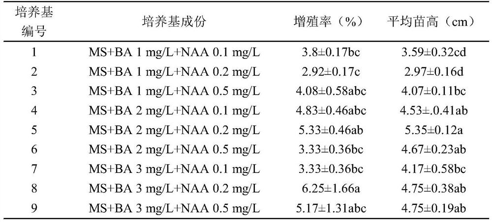 A method for inducing adventitious buds to rapidly propagate Zingiberaceae seedlings