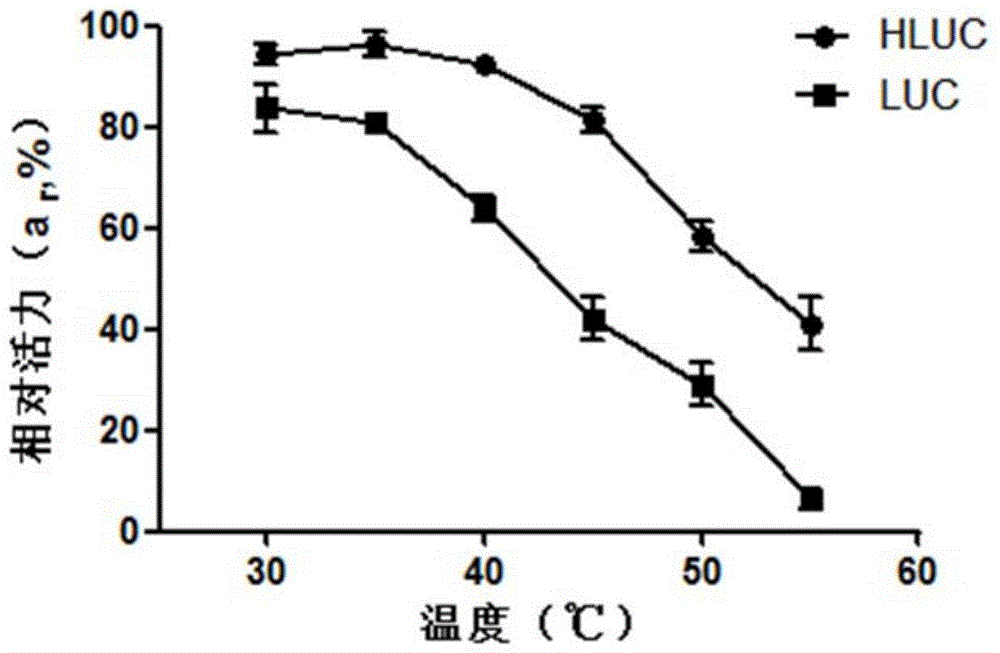 A kind of coding gene and preparation method of firefly luciferase