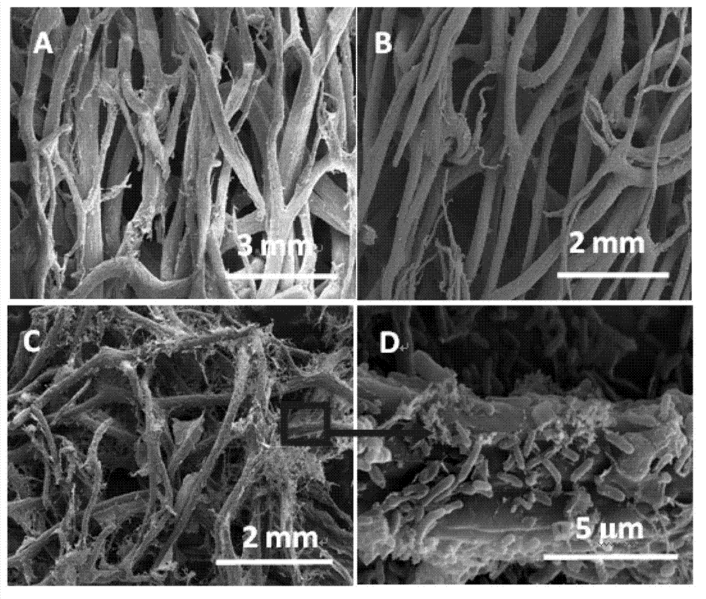 Preparation method and application of three-dimensional porous electrode material