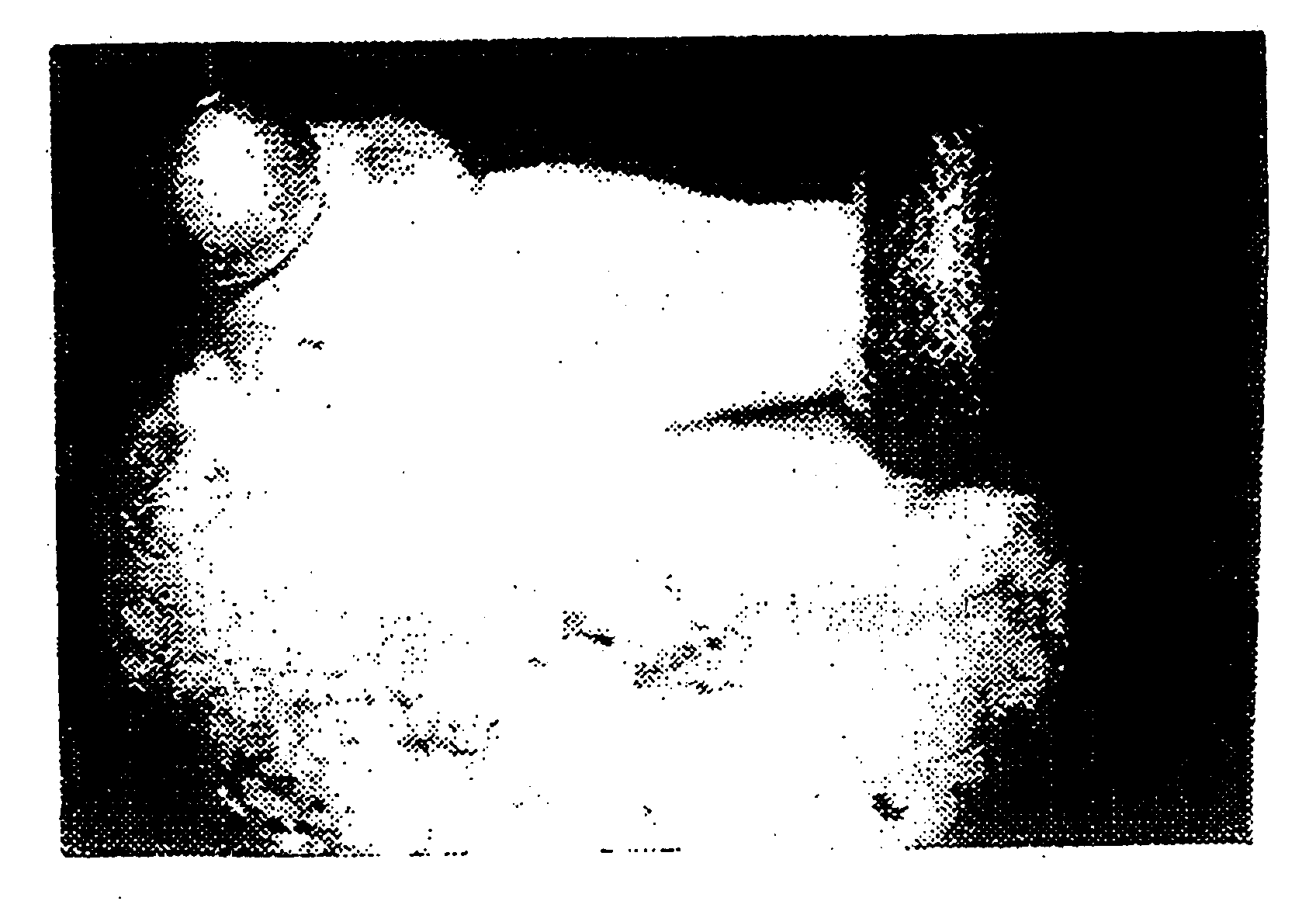 Method of cultivating fruit bodies of Agaricus blazei with artificial mushroom cultivating bed