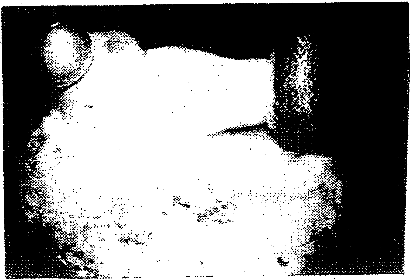 Method of cultivating fruit bodies of Agaricus blazei with artificial mushroom cultivating bed