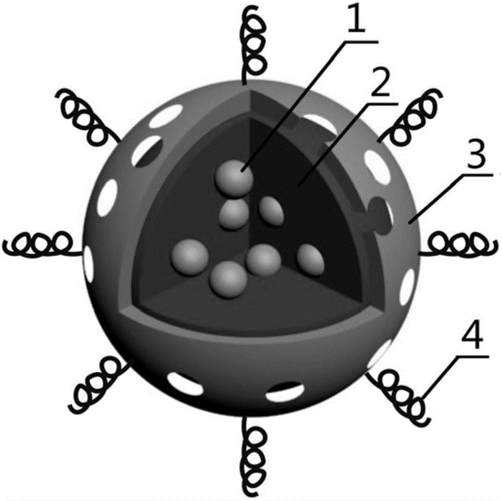 Magnetic shell-core structural nanoparticles and preparation method and application thereof