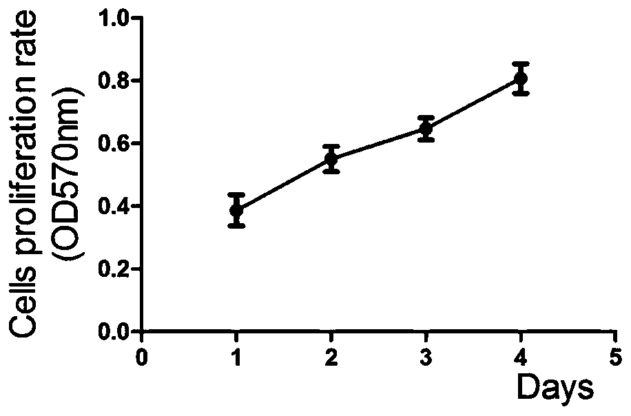 Recombinant mesenchymal stem cells and application thereof