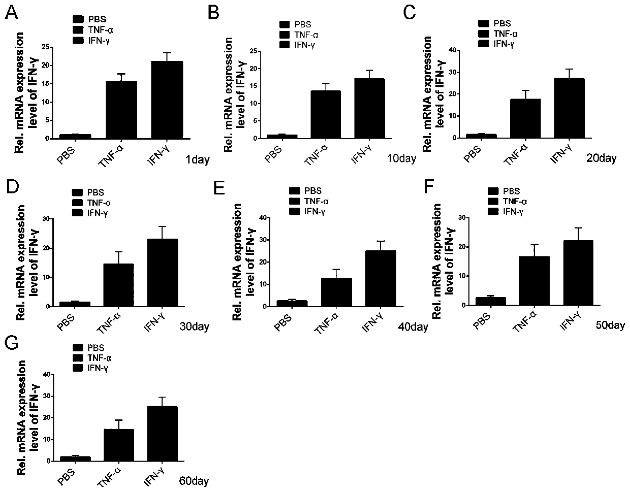 Recombinant mesenchymal stem cells and application thereof