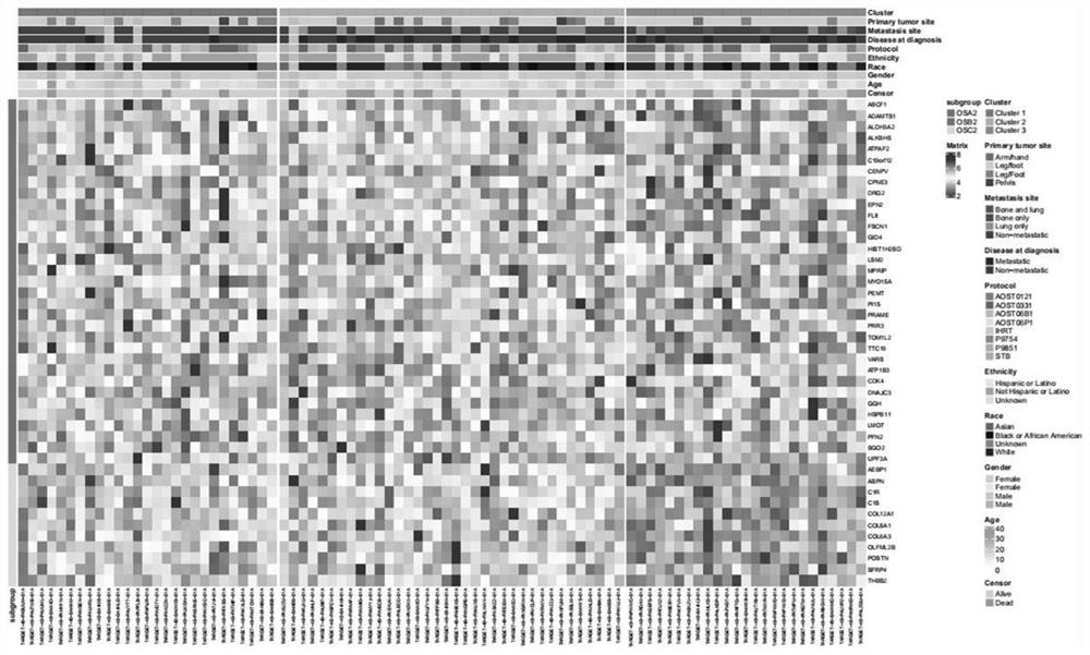 Gene for osteosarcoma typing and osteosarcoma prognosis evaluation, and application thereof