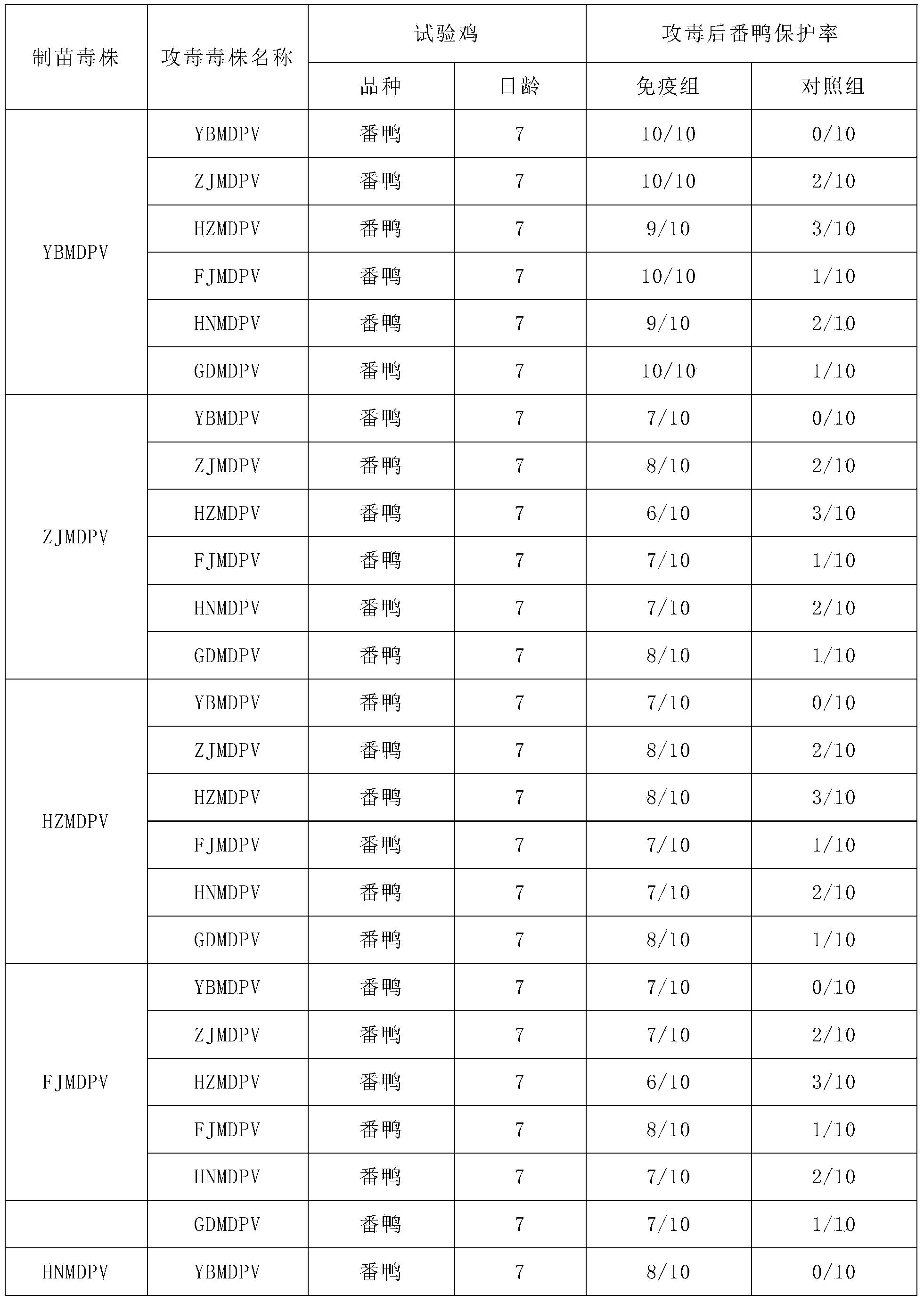 Muscovy duck parvovirus and application thereof