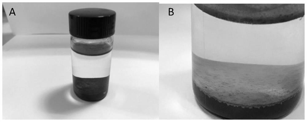 A kind of preparation method of titanium oxide nanoparticle/multilayer graphene composite material