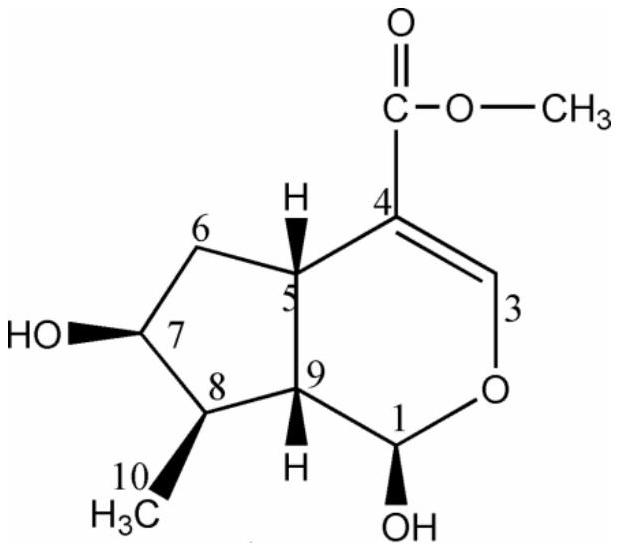 Use of loganin in the preparation of antitumor drugs