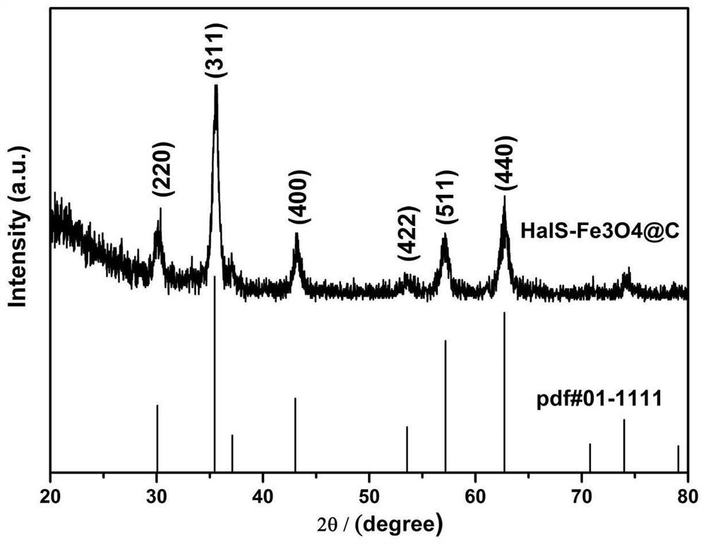 a kind of hals-fe  <sub>3</sub> o  <sub>4</sub> @cComposite materials and their preparation methods and applications