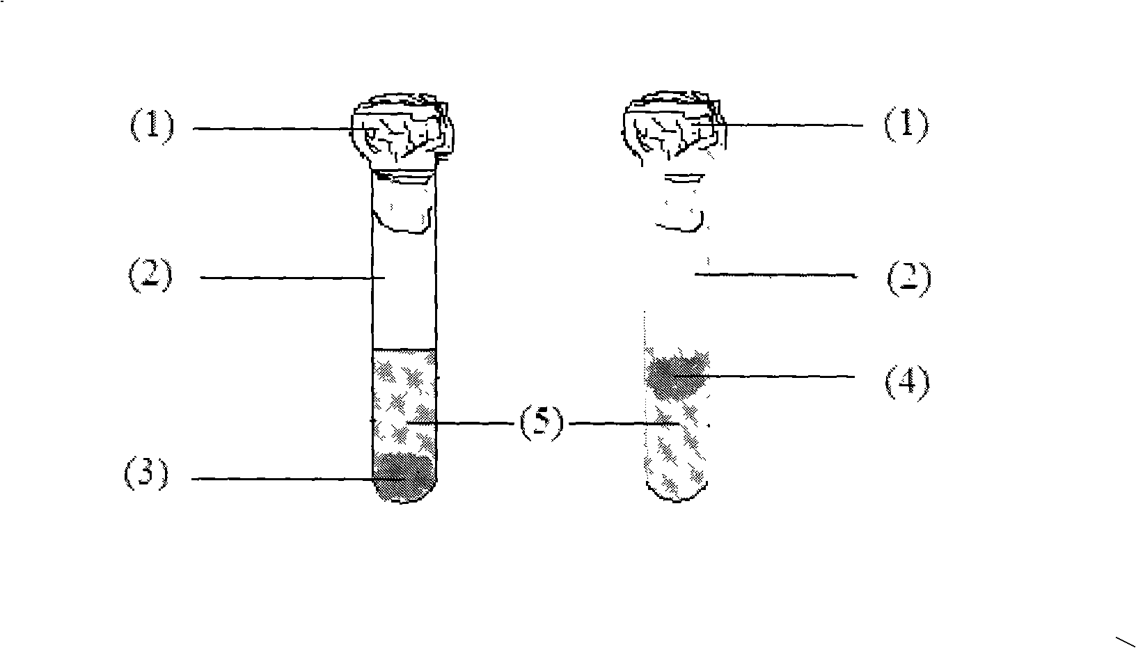 Detecting method for aerogenic bacterium in soy sauce and other condiments