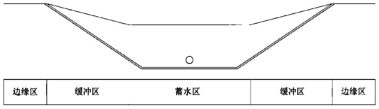 Ground cover plant community construction method applicable to bioretention facility