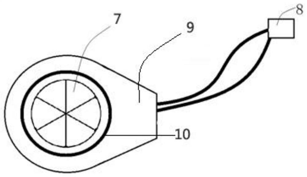 A method for enucleating mammalian oocytes