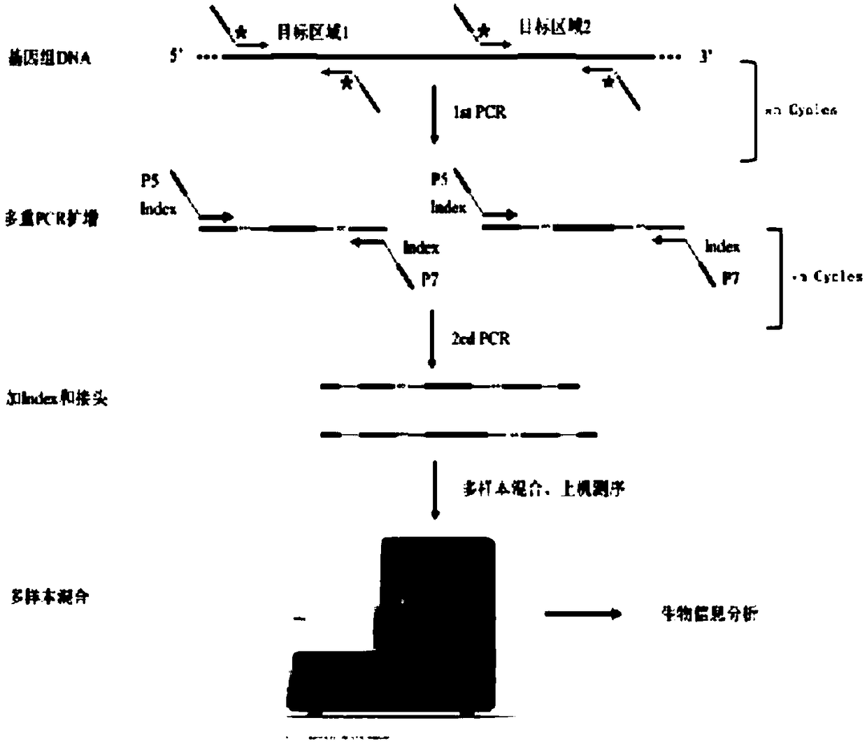 Method for noninvasive detection of SLC26A4 gene mutation and kit