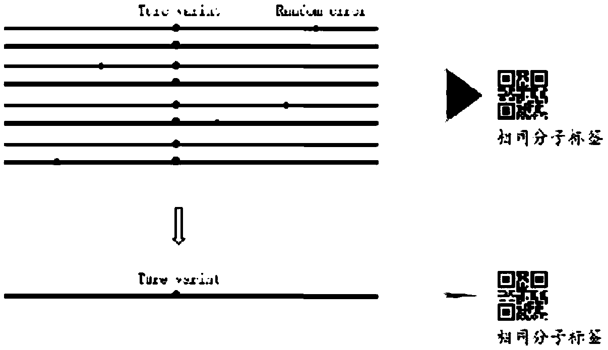 Method for noninvasive detection of SLC26A4 gene mutation and kit