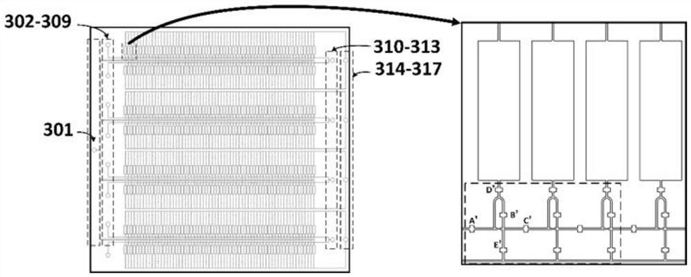 Micro-fluidic chip and application thereof