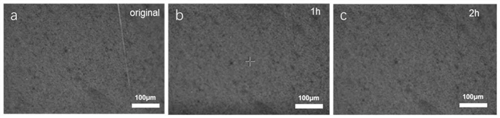 Negative electrode self-healing adhesive as well as preparation method and application thereof