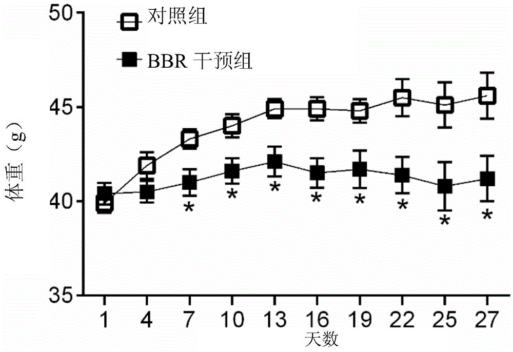 Medicine for inhibiting appetite prepared from berberine