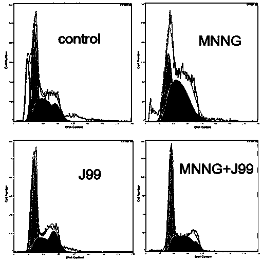 Method for inducing cell malignant transformation culture model