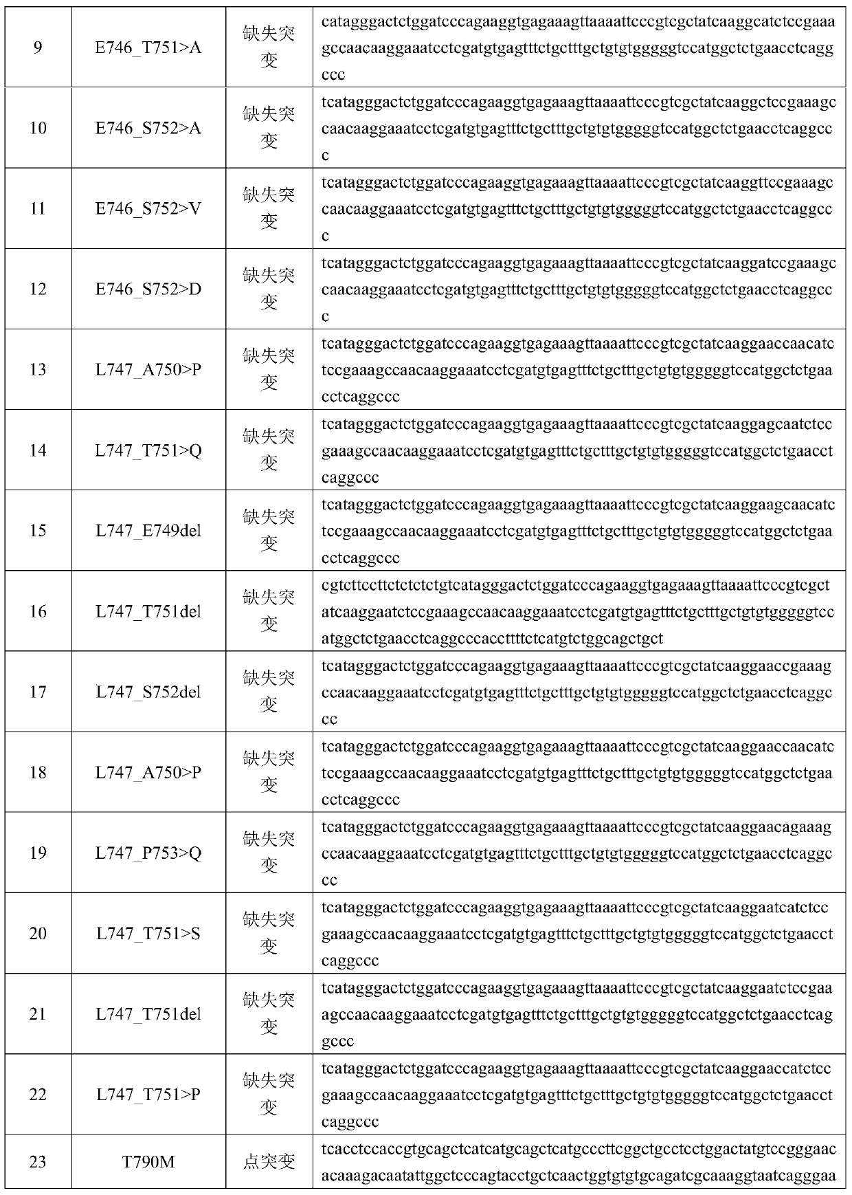 Kit for detecting EGFR gene mutation and detection method thereof