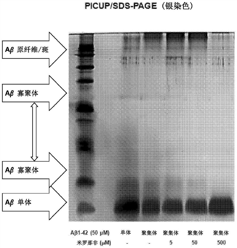 Compositions and methods for reducing amyloid beta formation on and composition therefore