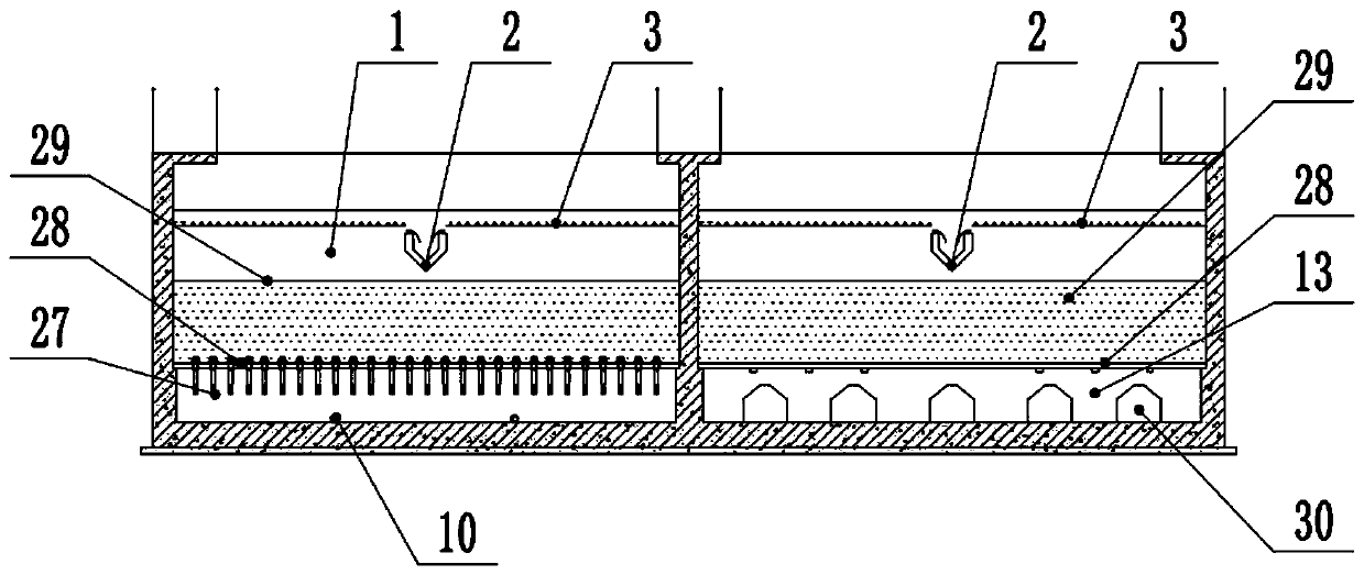 Water purification and filtration system capable of reducing backwashing water consumption