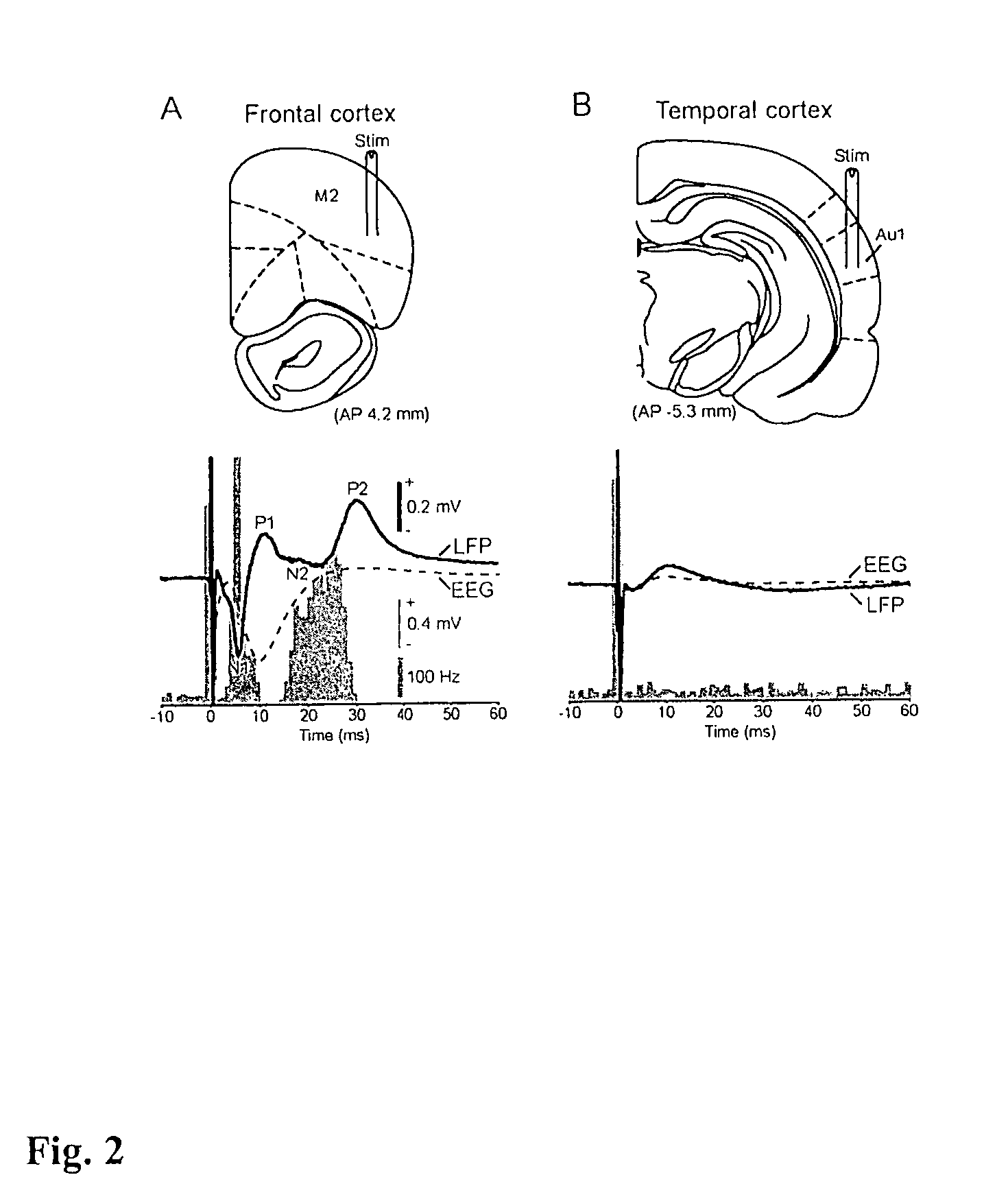 Methods of neural centre location and electrode placement in the central nervous system