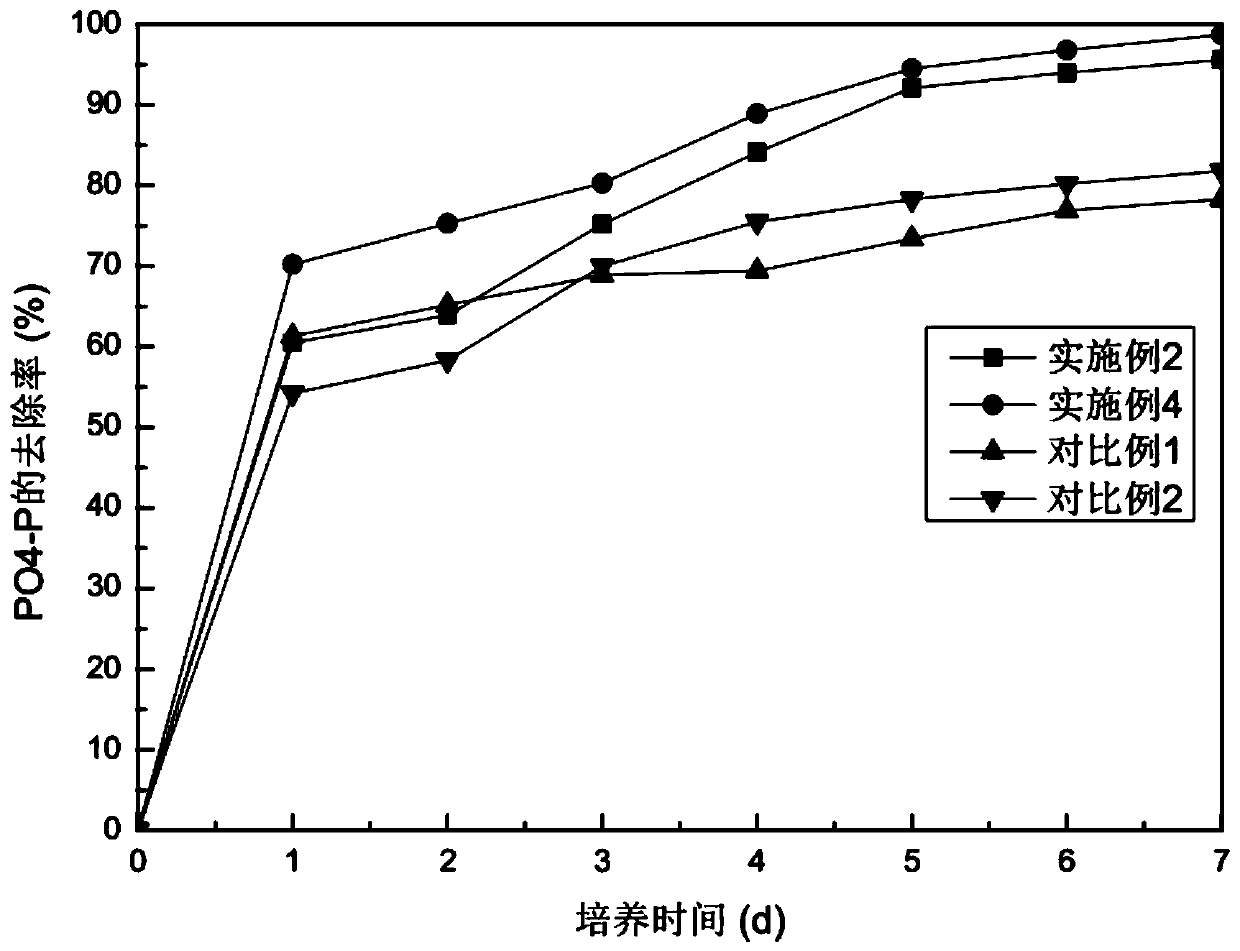 Method for reducing water eutrophication by chlorella culture