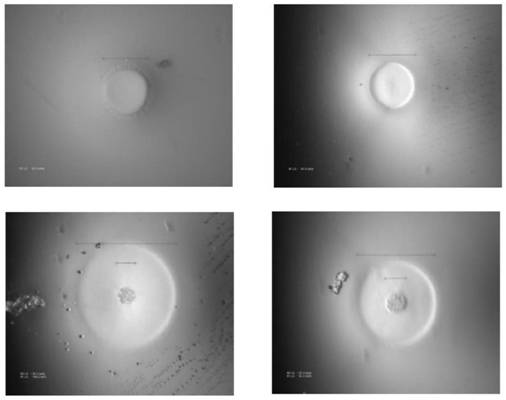 Additional coating for transparent polyimide film, application method of additional coating and cover plate film