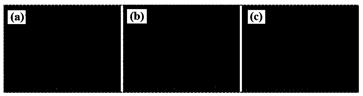 Composite electrolyte membrane and its preparation method and application