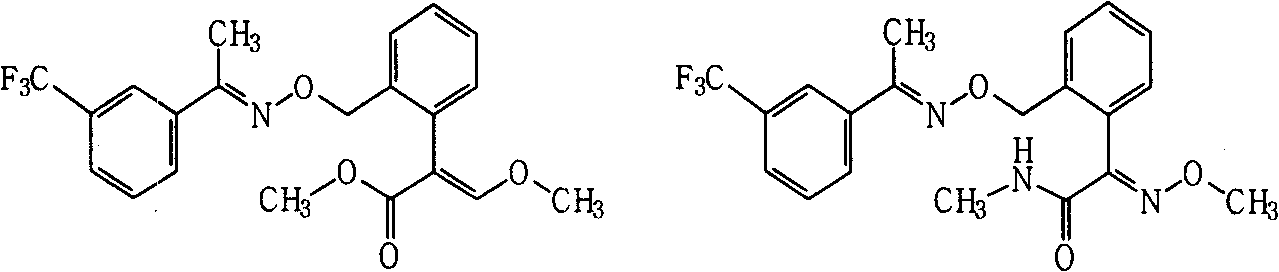 Fungicide composition