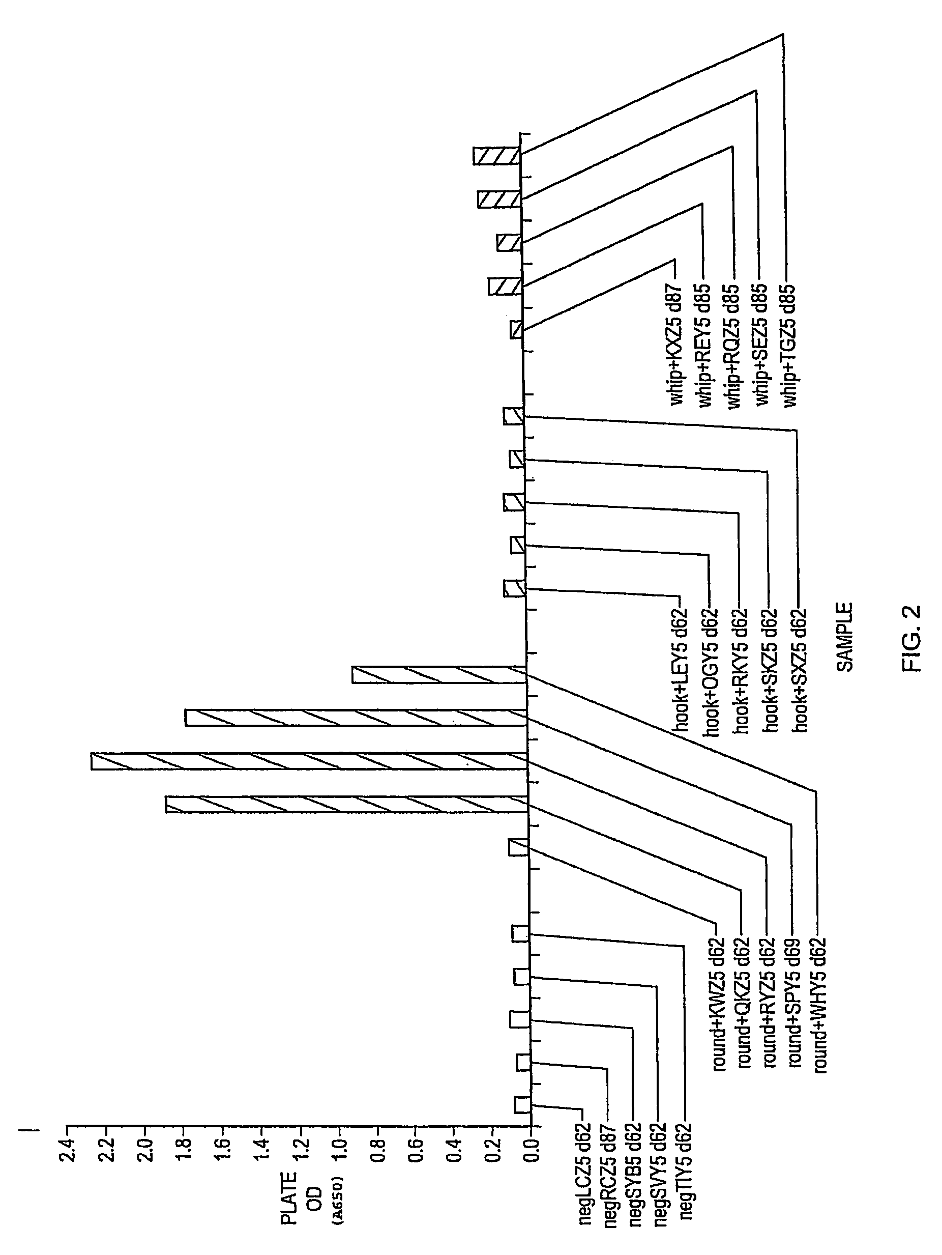 Roundworm coproantigen detection