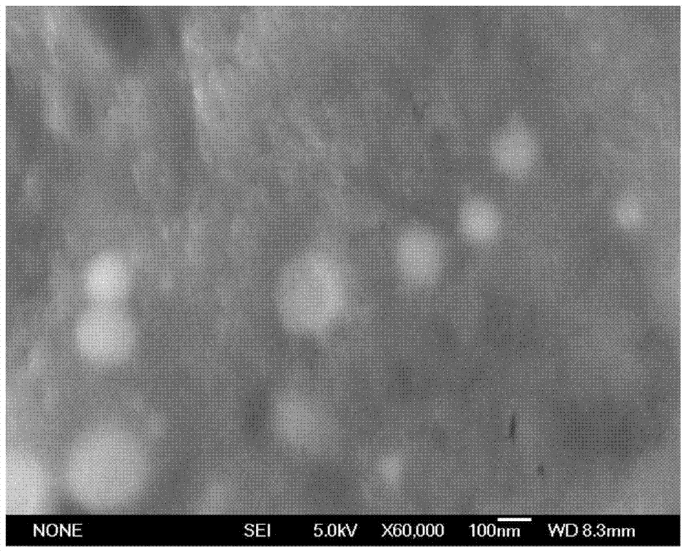 Planting method of grapes rich in elemental selenium