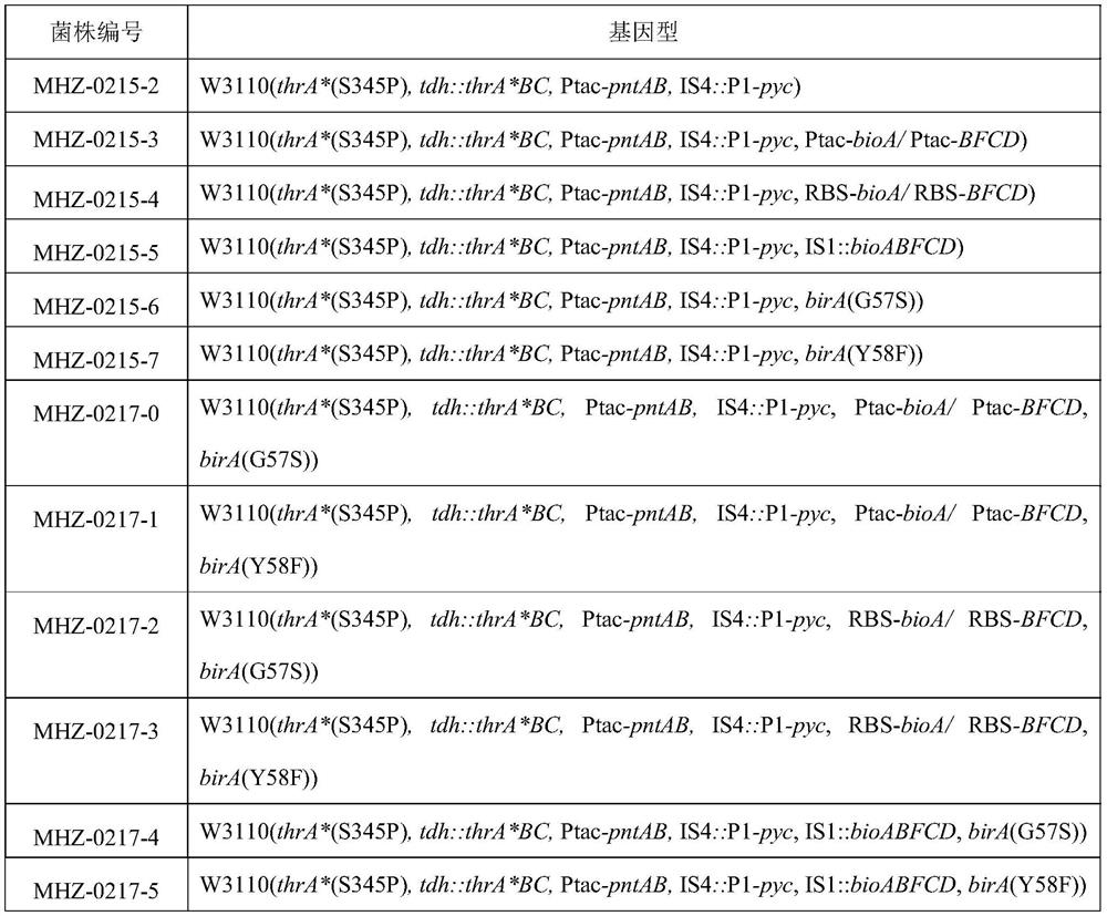 Genetically engineered bacterium for producing L-threonine as well as construction method and application of genetically engineered bacterium