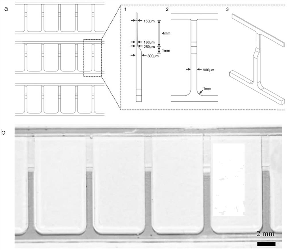 Anesthesia-free directional embedding method and system for model animals