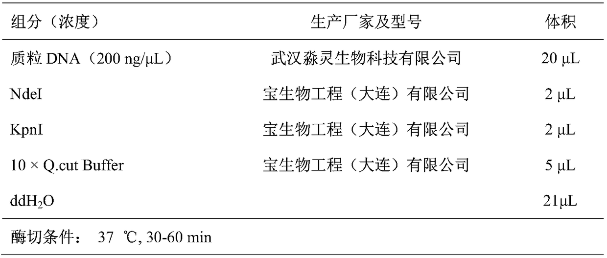 Lysine decarboxylase mutant, encoding gene and expression thereof and application