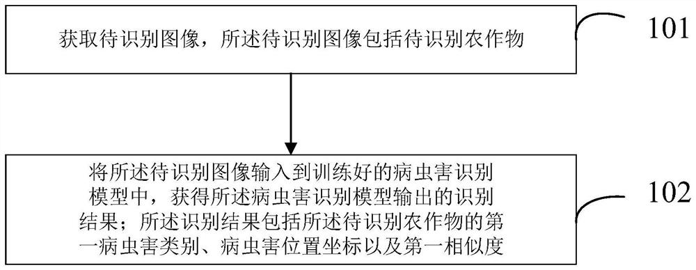 Pest and disease identification and model training method and device, electronic equipment and storage medium