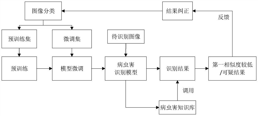 Pest and disease identification and model training method and device, electronic equipment and storage medium