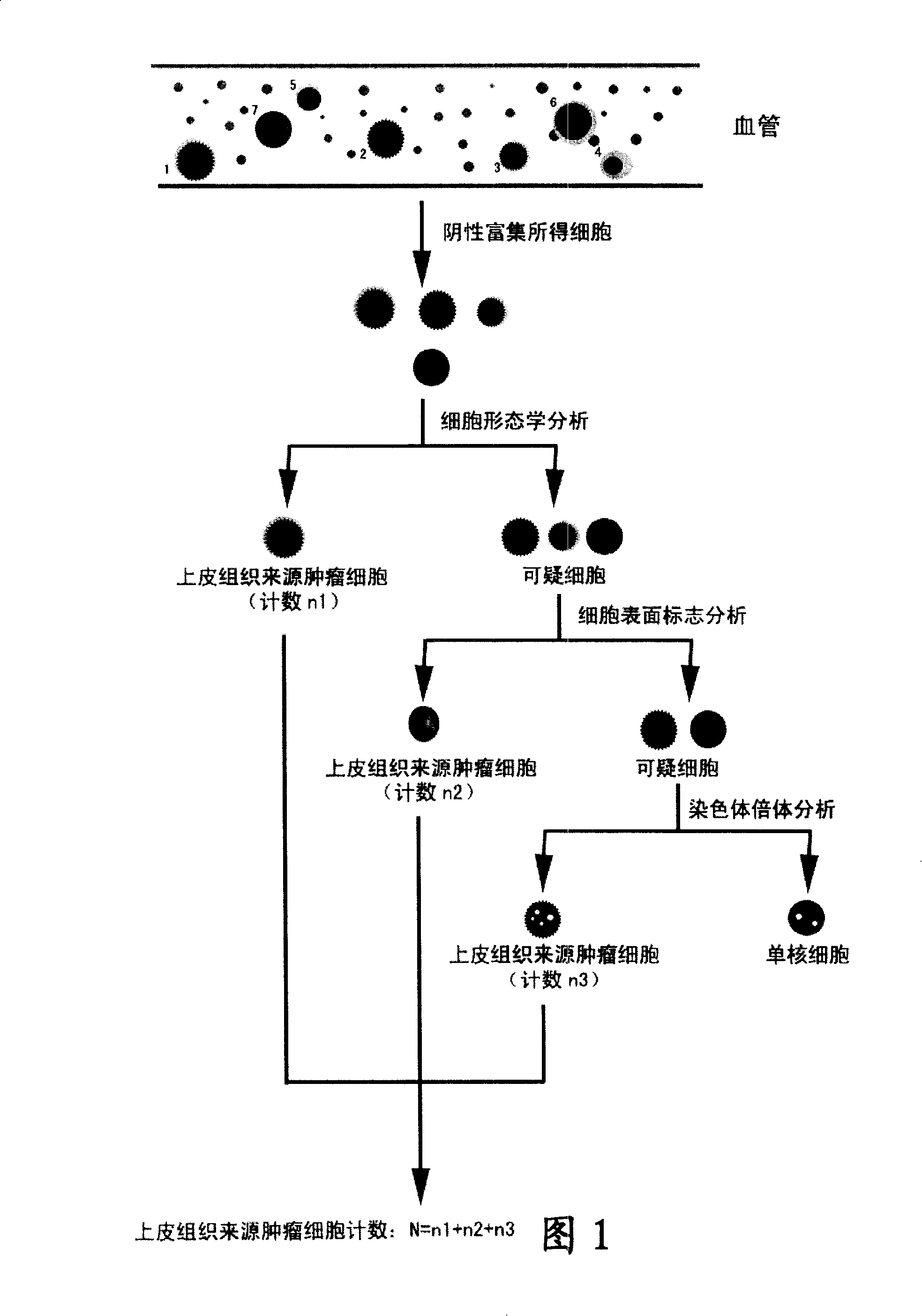 Cytochemical staining method being compatible with immunofluorescence analysis and uses thereof