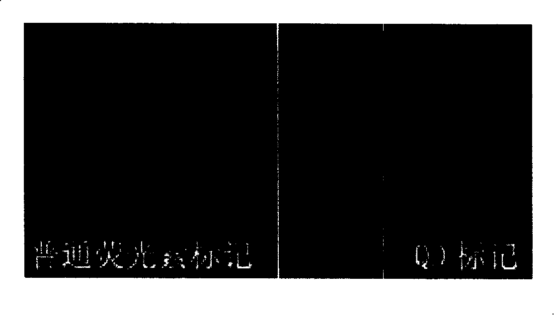 Cytochemical staining method being compatible with immunofluorescence analysis and uses thereof