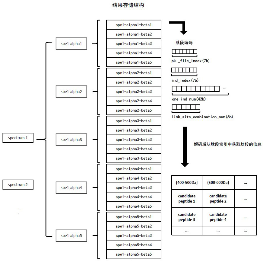 Mass spectrum-based complex cross-linked peptide fragment identification method