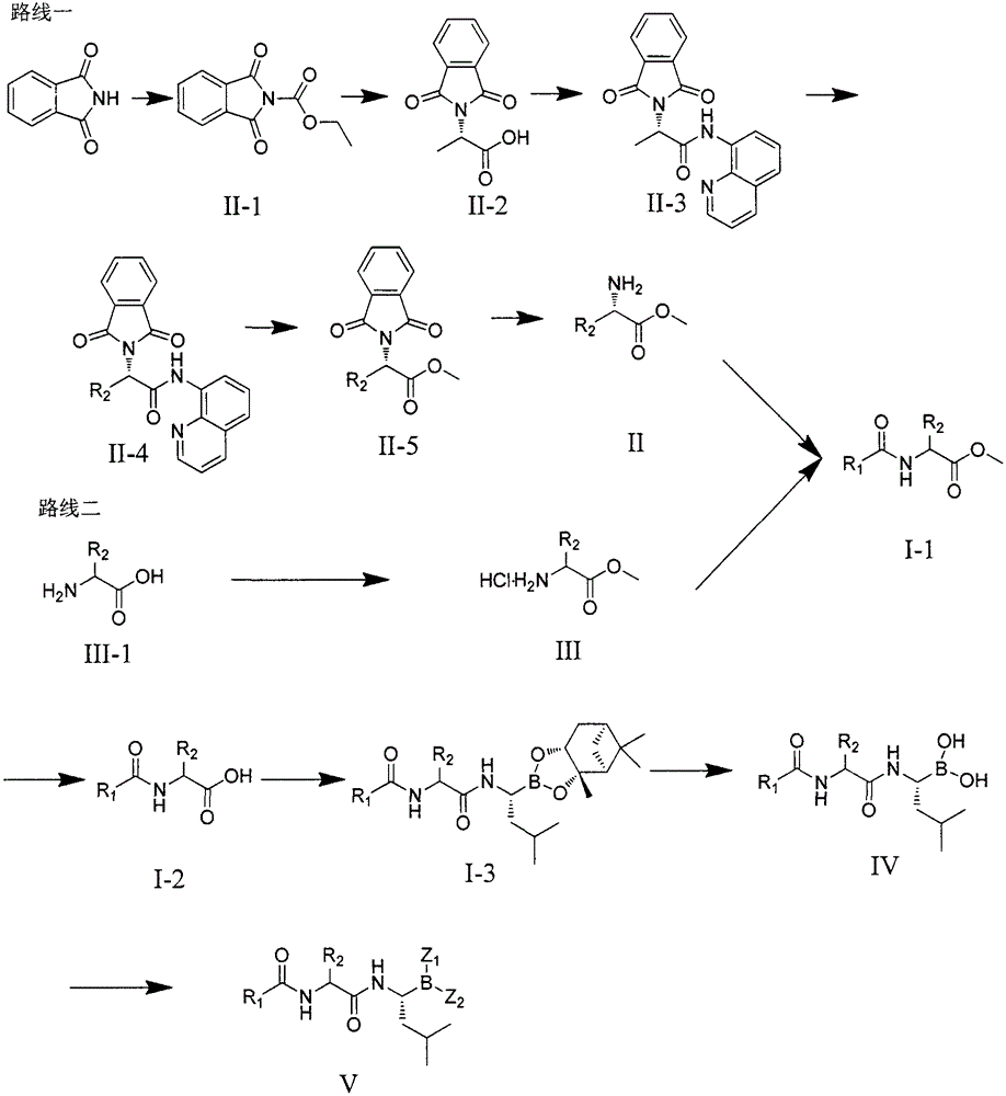 Dipeptide boric acid composed of carboxylic acid and alpha-amino acid as well as ester compound thereof, and preparation method and application of dipeptide boric acid and ester compound thereof