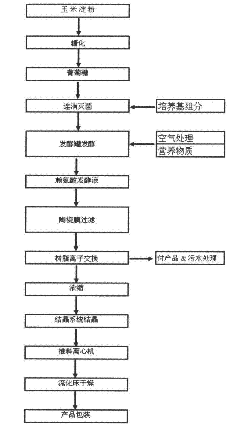 Producing process of lysine