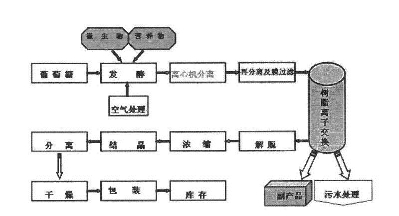 Producing process of lysine