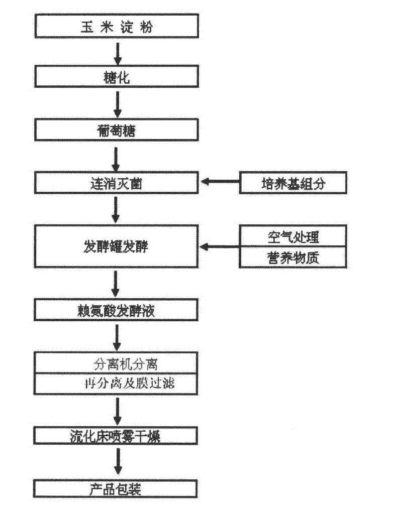 Producing process of lysine