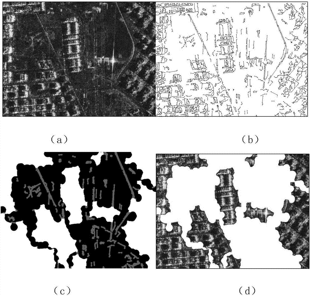 G0 distribution-based stochastic gradient variational Bayesian SAR image segmentation method