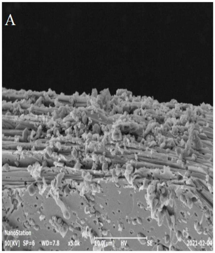 Preparation method of germanium selenide nano material and application of germanium selenide nano material